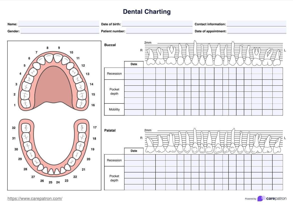 Free Tooth Chart Templates Editable And Printable