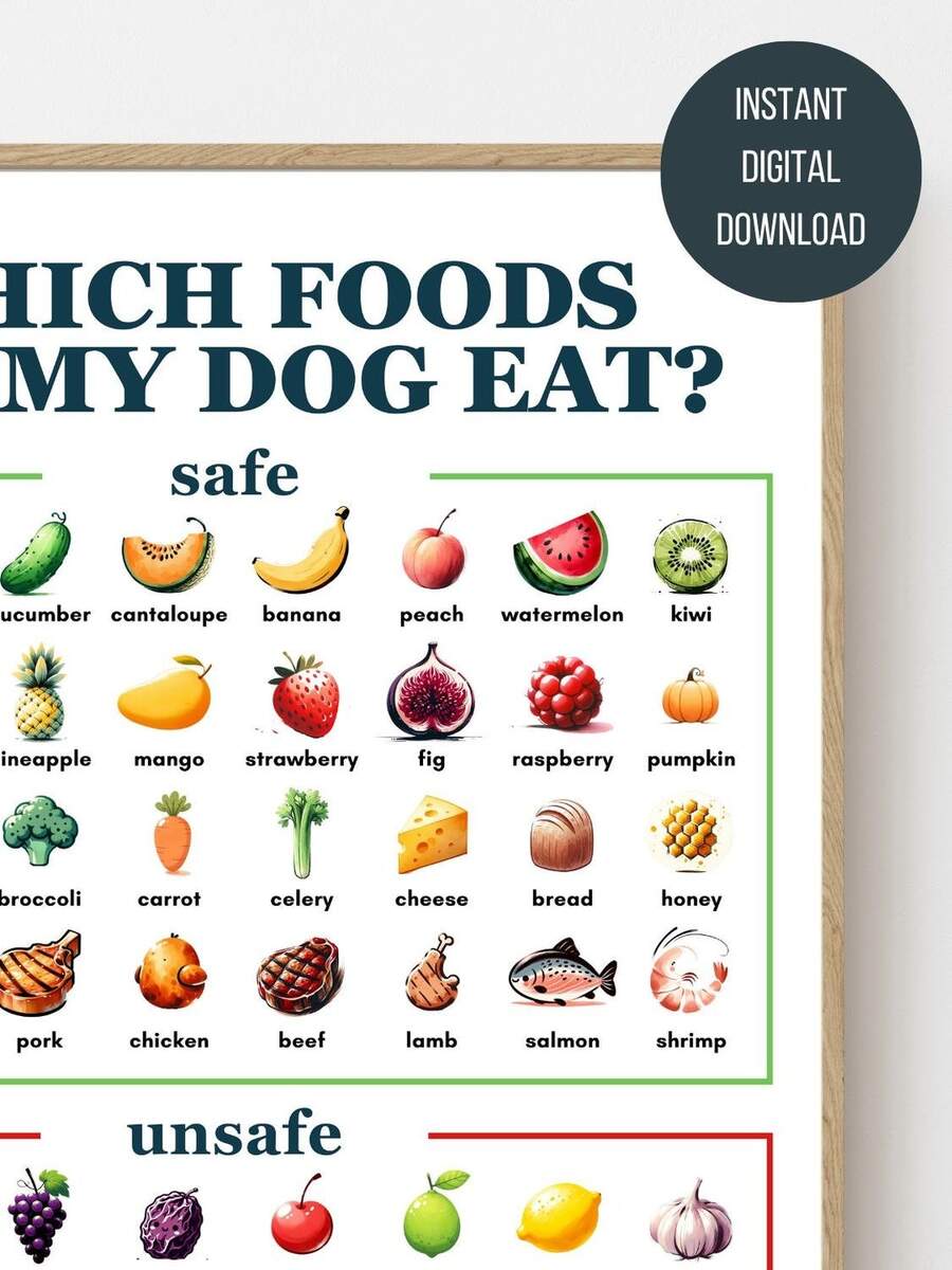 A Cool Guide To What A Dog Can And Can T Eat R Coolguides