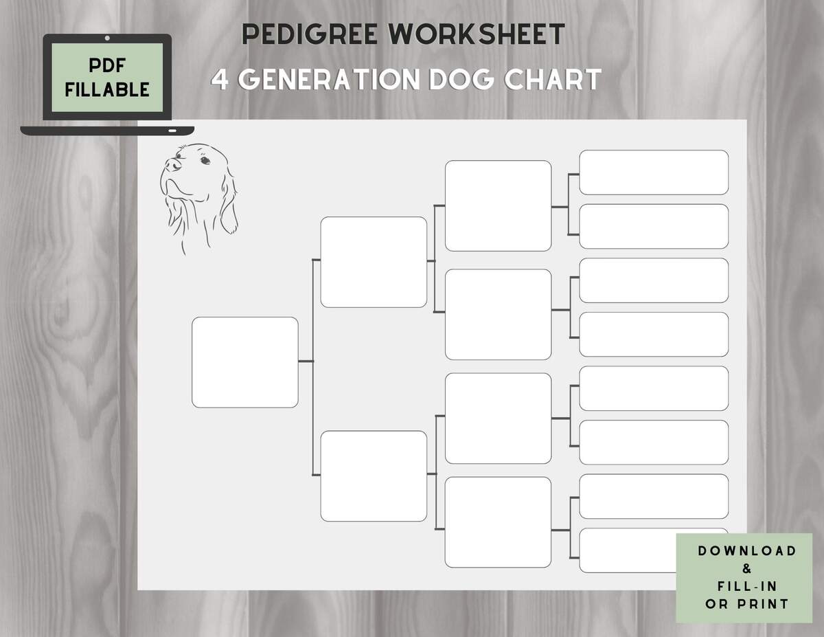 Dog Pedigree Chart 4 Generations On One Page Fillable PDF Etsy Dog Pedigree Chart 4 Generations On One Page Fillable PDF Etsy