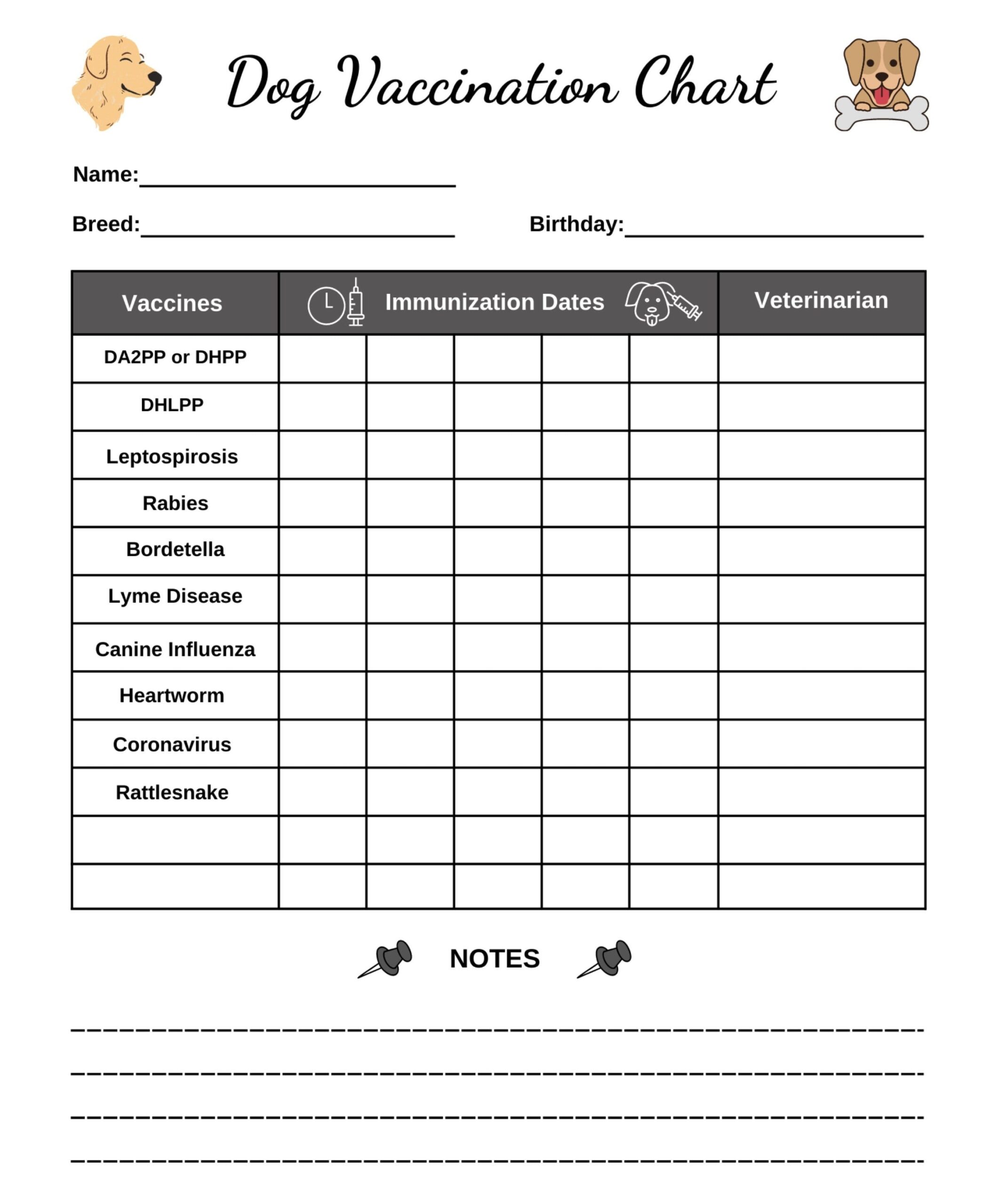 Dog Vaccine Printable Pet Printable Immunization Puppy Vaccinations Dog Health Digital Download Instant Download PDF Etsy