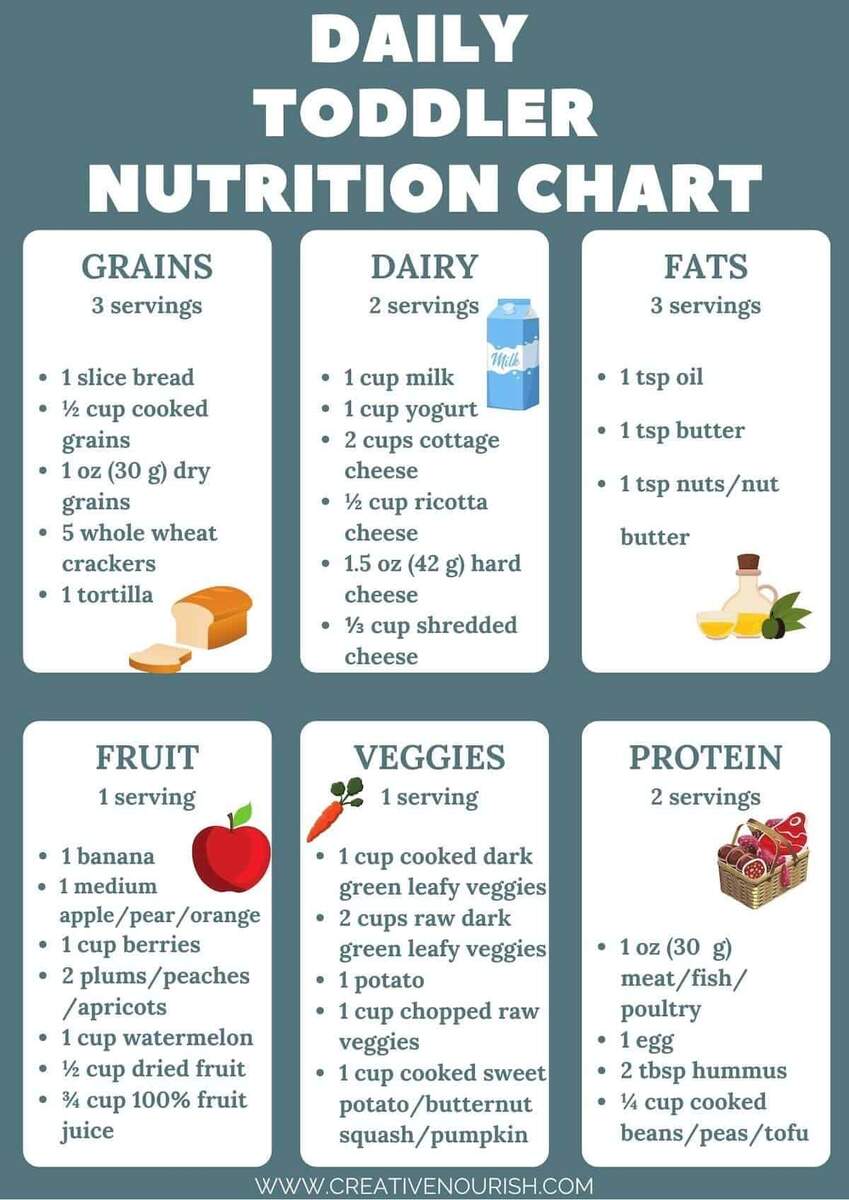 Daily Food Journal Nutrition Chart In Illustrator PDF Download Template