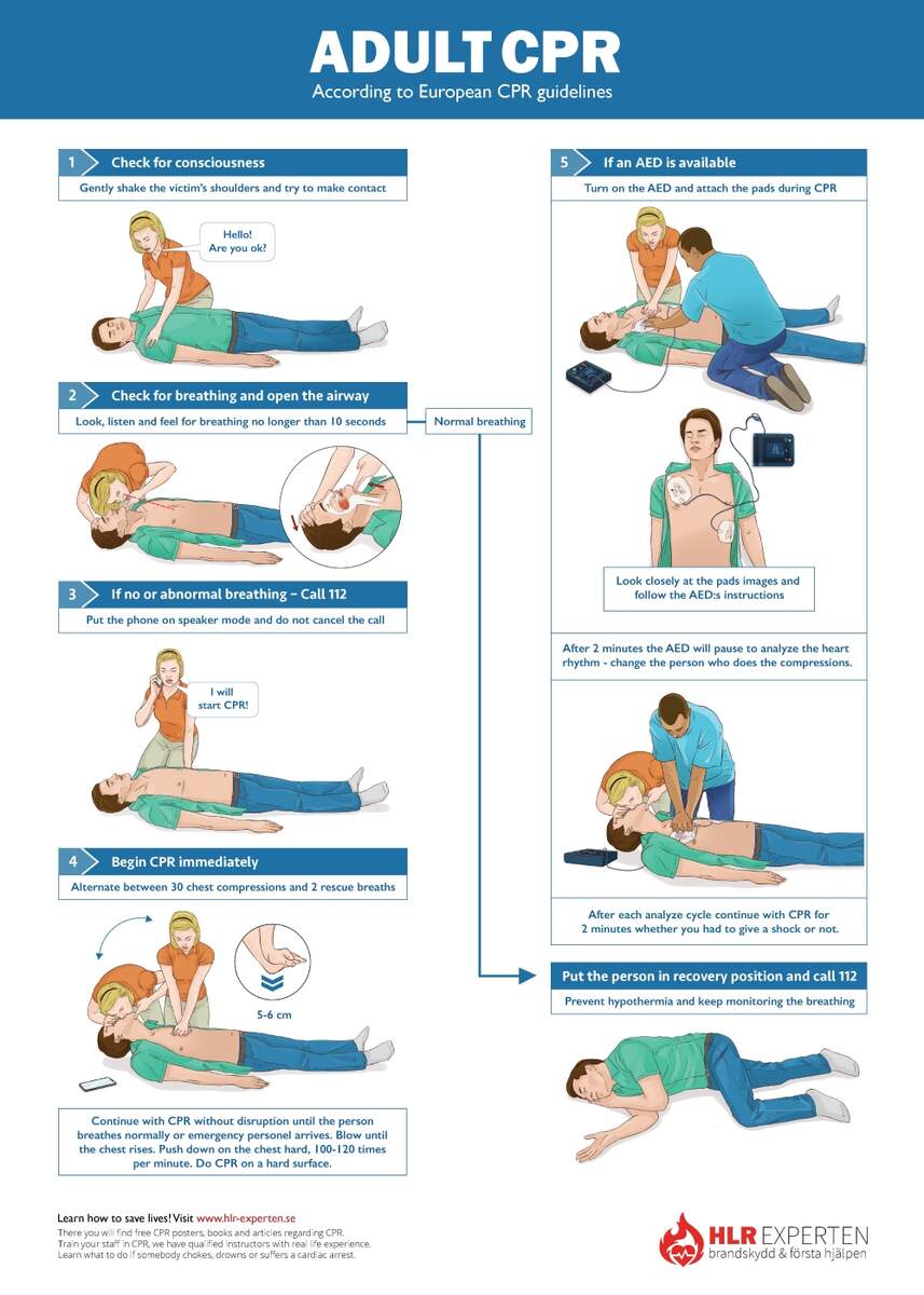 Free First Aid Red Cross Child CPR Labor Law Poster 2026