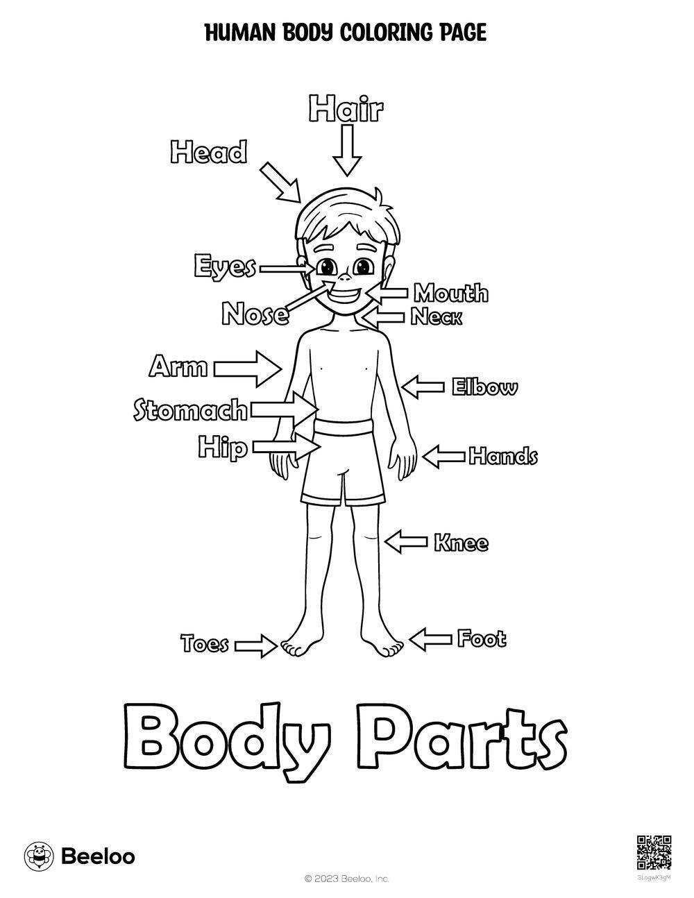 Human Body Themed Coloring Pages Beeloo Printable Crafts And Activities For Kids