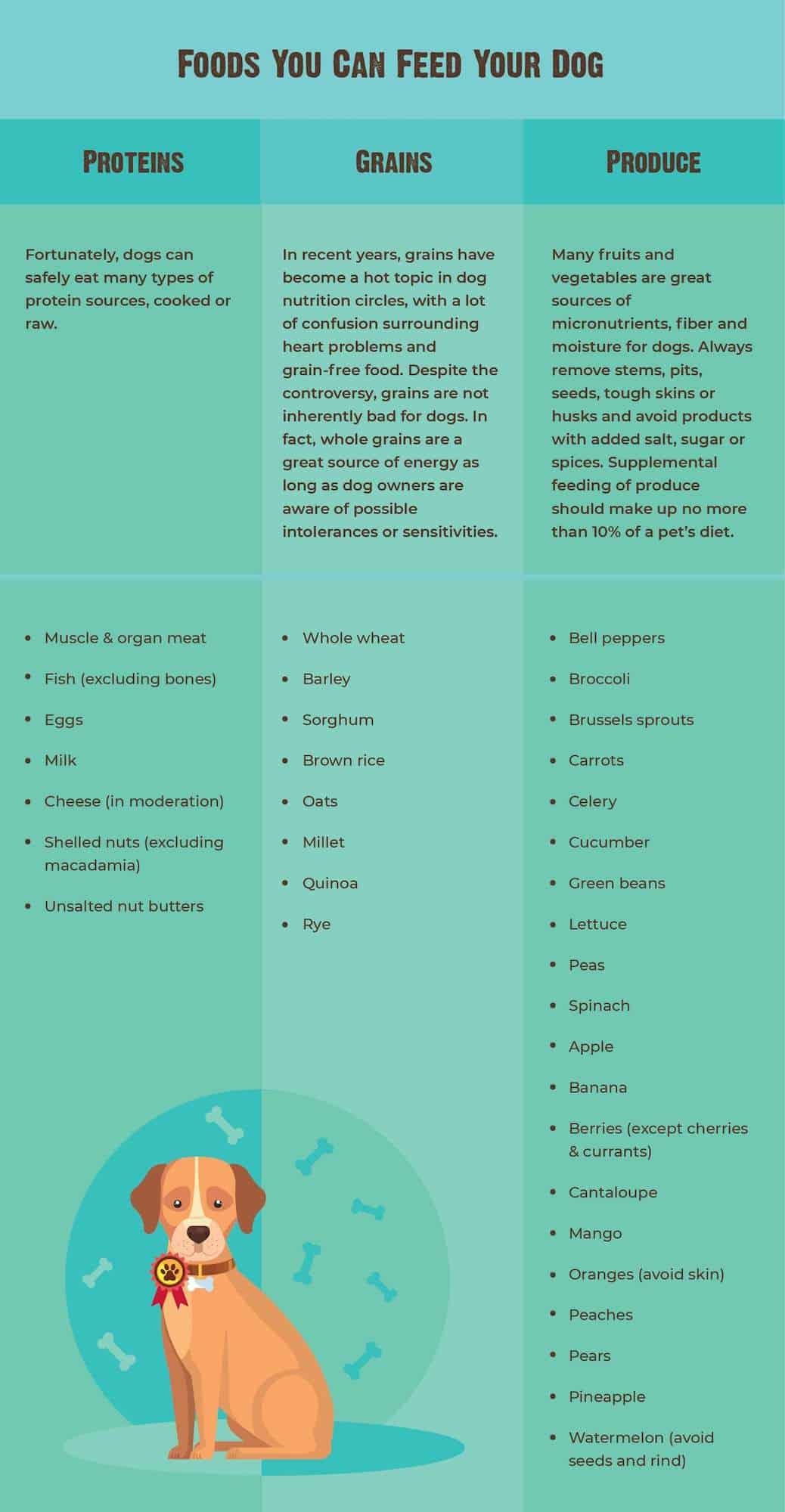 Human Foods Dogs Can And Can T Eat With Chart RAWZ