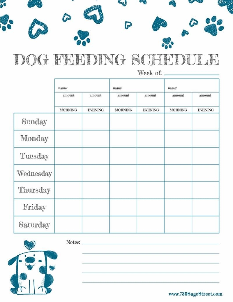 Pet Feeding Chart Printable