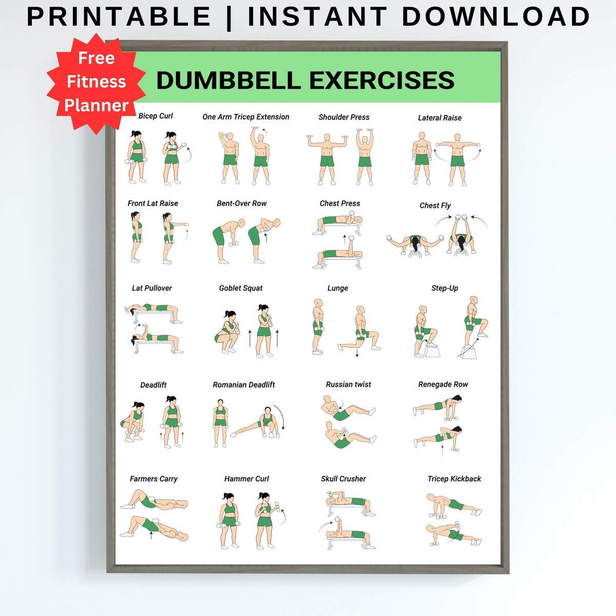 Printable Basic Dumbbell Exercises Dumbbell Workout Chart Printable Pdf Dumbbell Lifting Routine Store