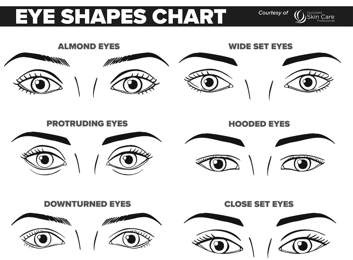12 Face Chart Ideas Face Chart Makeup Face Charts Face Template