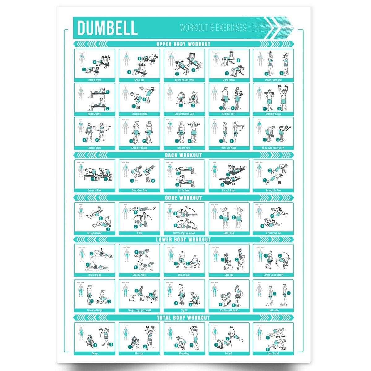 Printable Weight Lifting Workouts Body Dumbbell Free Weight Lifting Routine Dumbbell Workout Plan