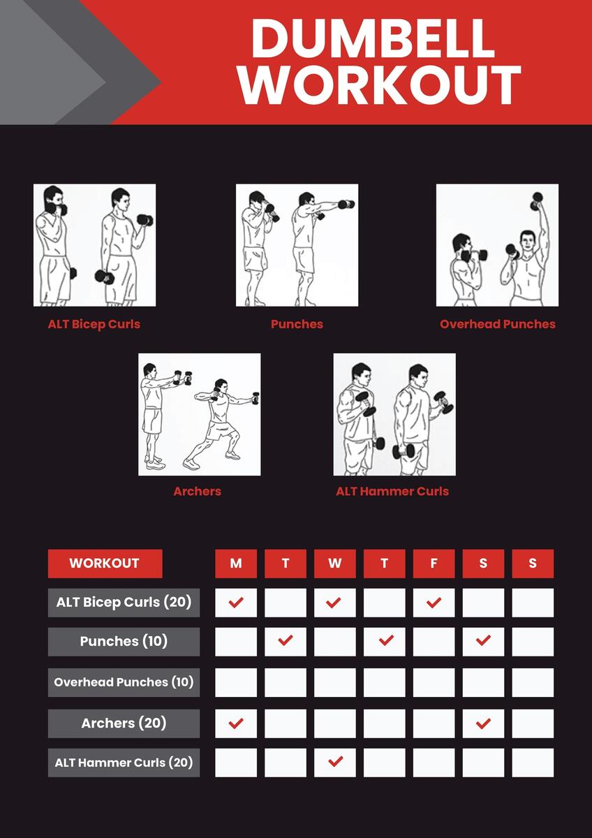 Printable Basic Dumbbell Exercises Dumbbell Workout Chart Printable Pdf Dumbbell Lifting Routine Store