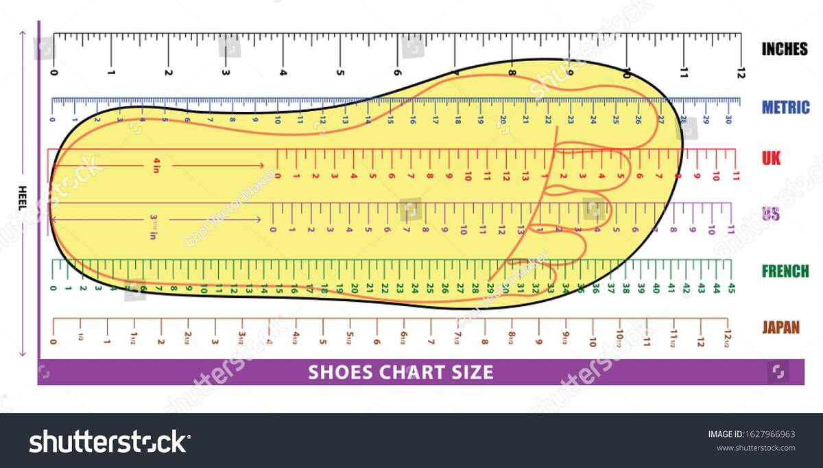 Set Shoes Chart Size Socks Chart Stock Vector Royalty Free 1627966963 Shutterstock