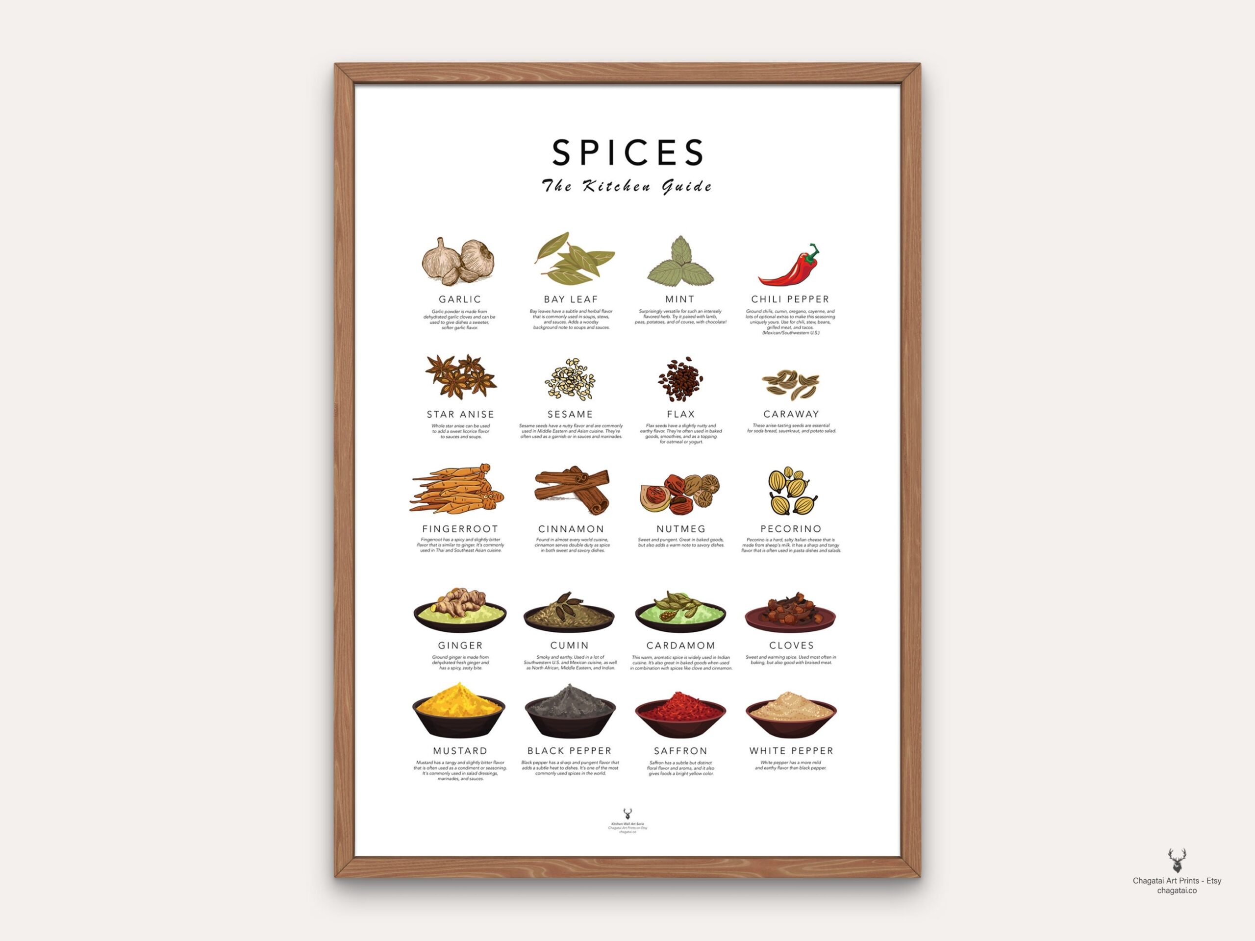 Herbs Spices Kitchen Chart Set Illustrated Cooking Guide Digital PDF A4 US Letter Etsy