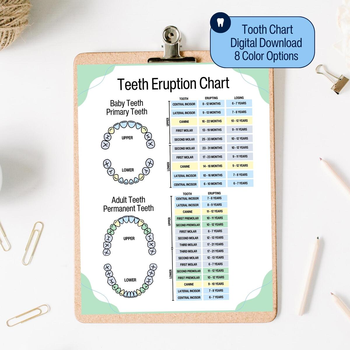 Teeth Color Chart Etsy Australia